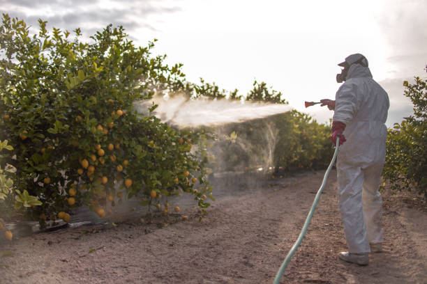 Best Cockroach Control Services  in Von Ormy, TX